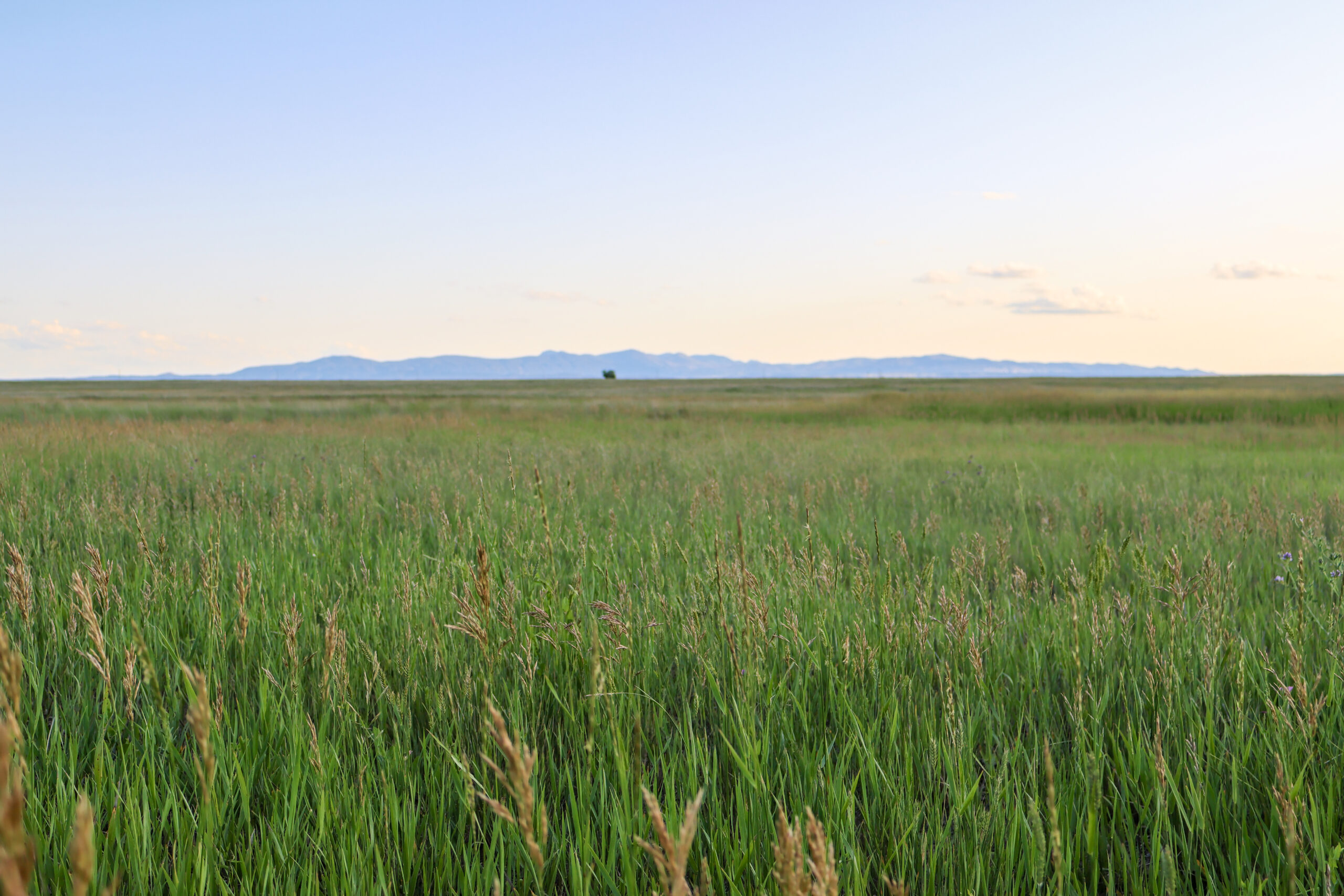Pintail Ranch | Phillips County, Montana