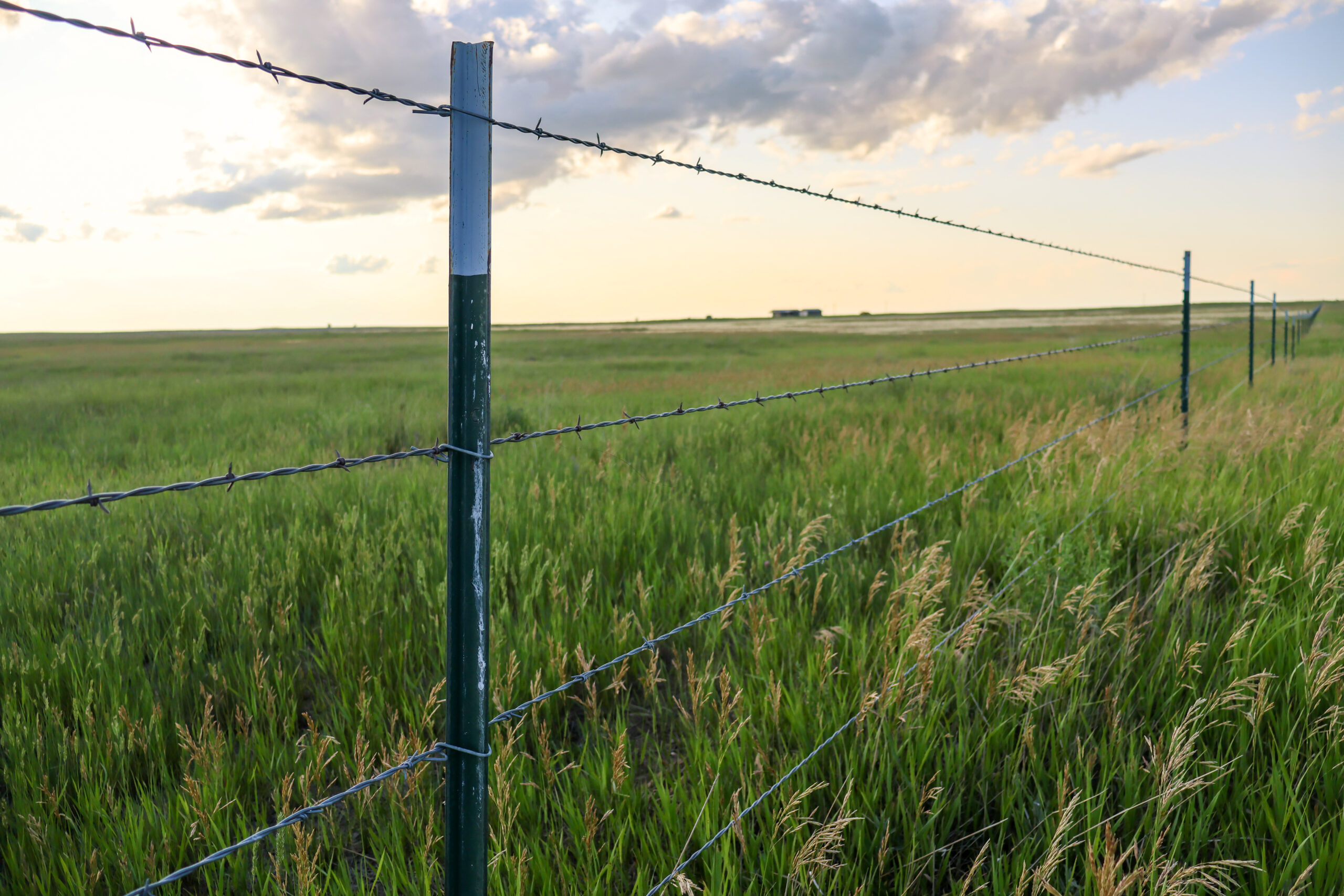 Pintail Ranch | Phillips County, Montana