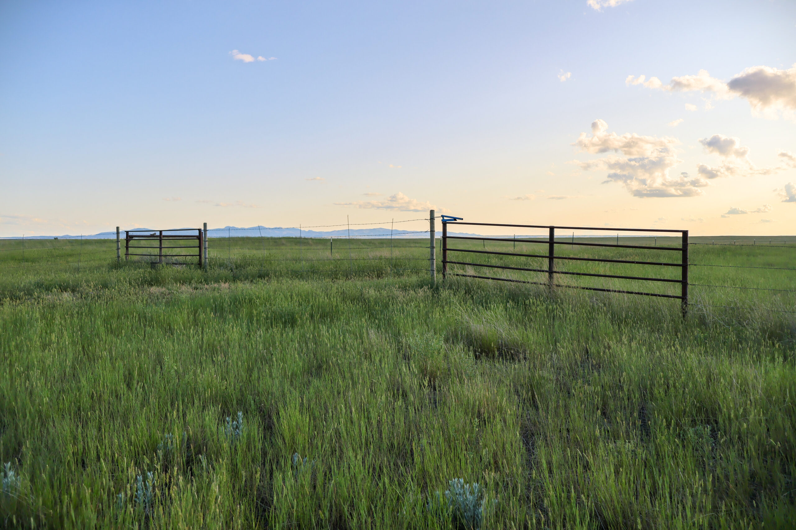 Pintail Ranch | Phillips County, Montana
