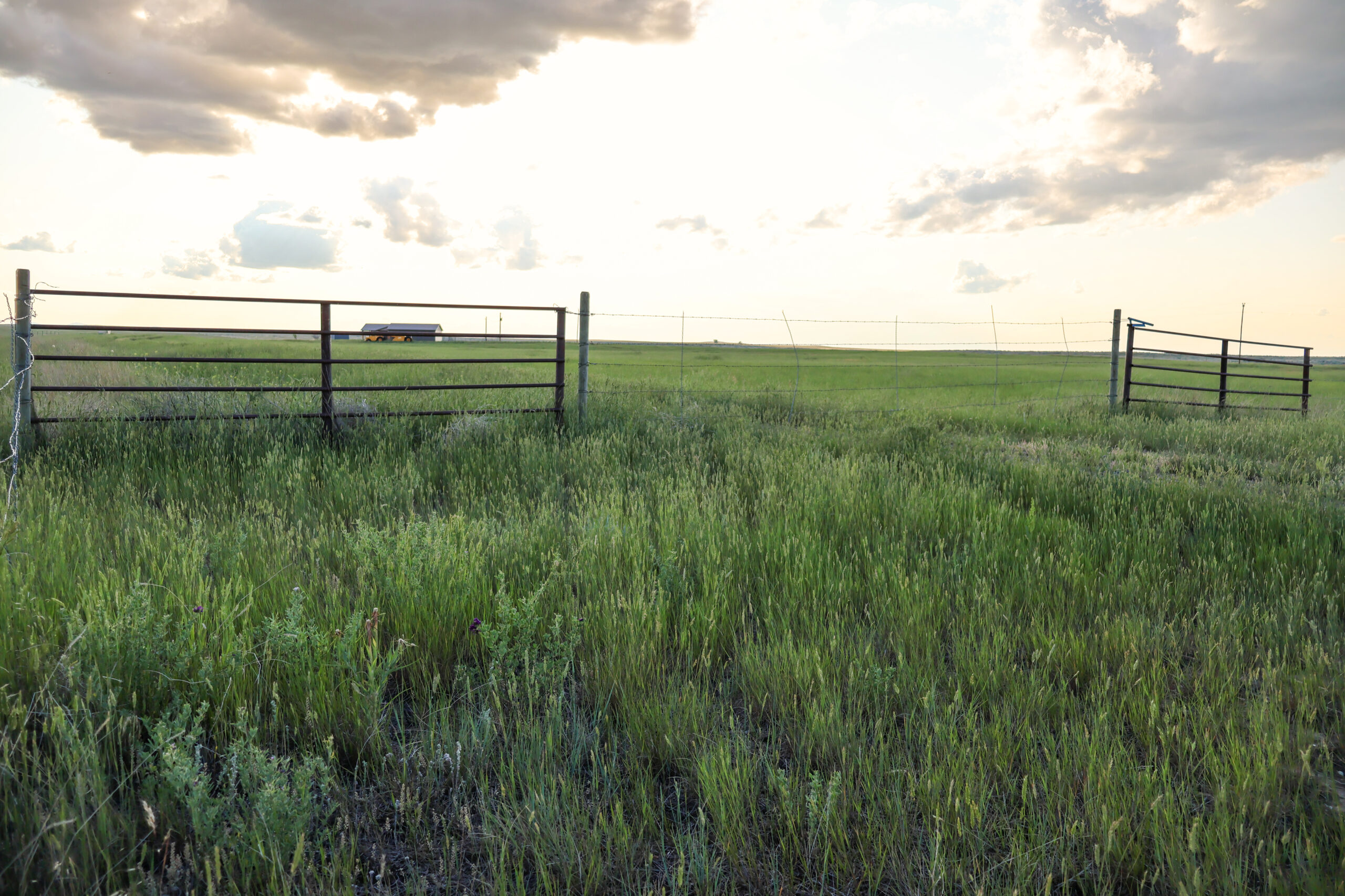 Pintail Ranch | Phillips County, Montana