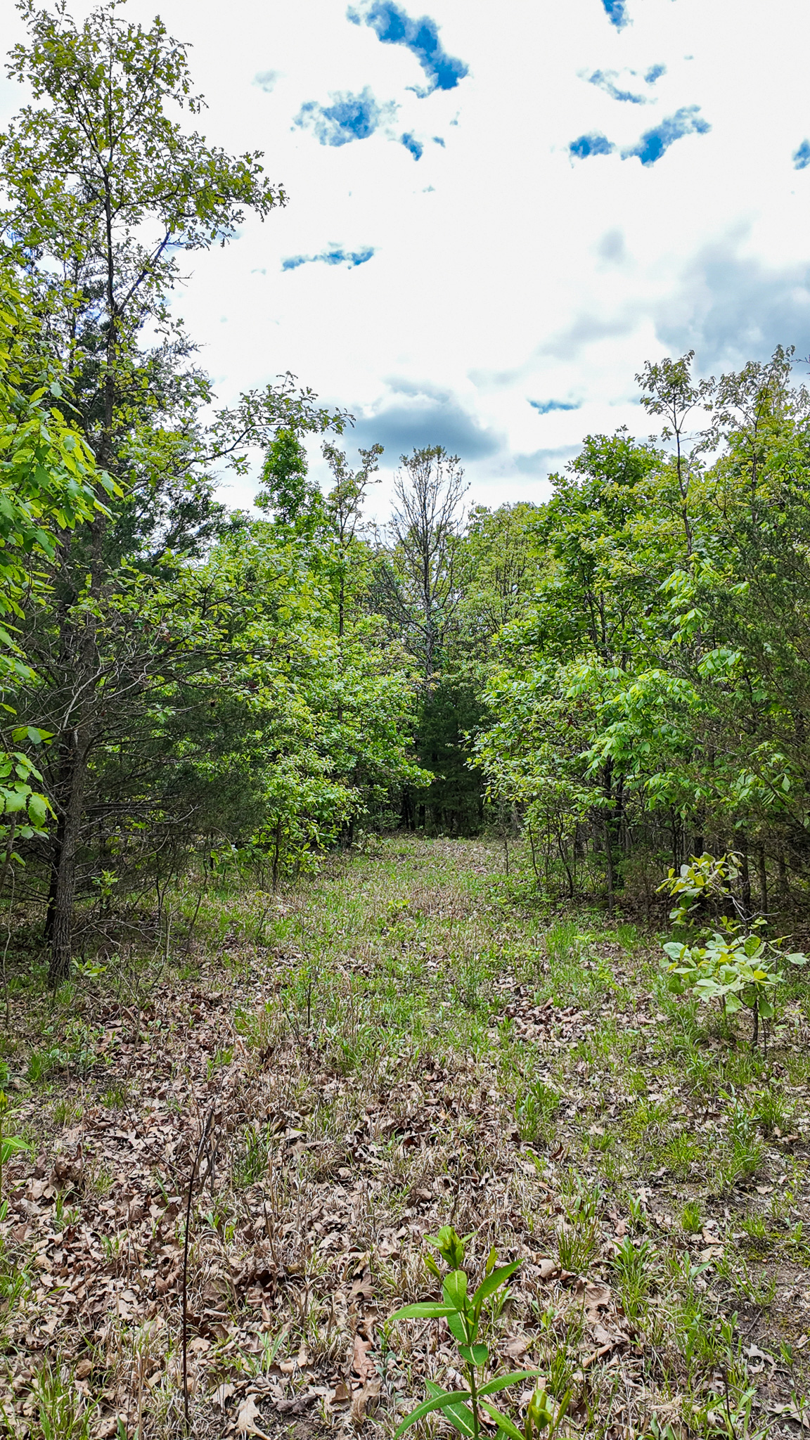 St. Clair County MO Recreational Land