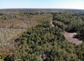 South Carolina Hunting Land for Sale