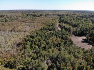 South Carolina Hunting Land for Sale