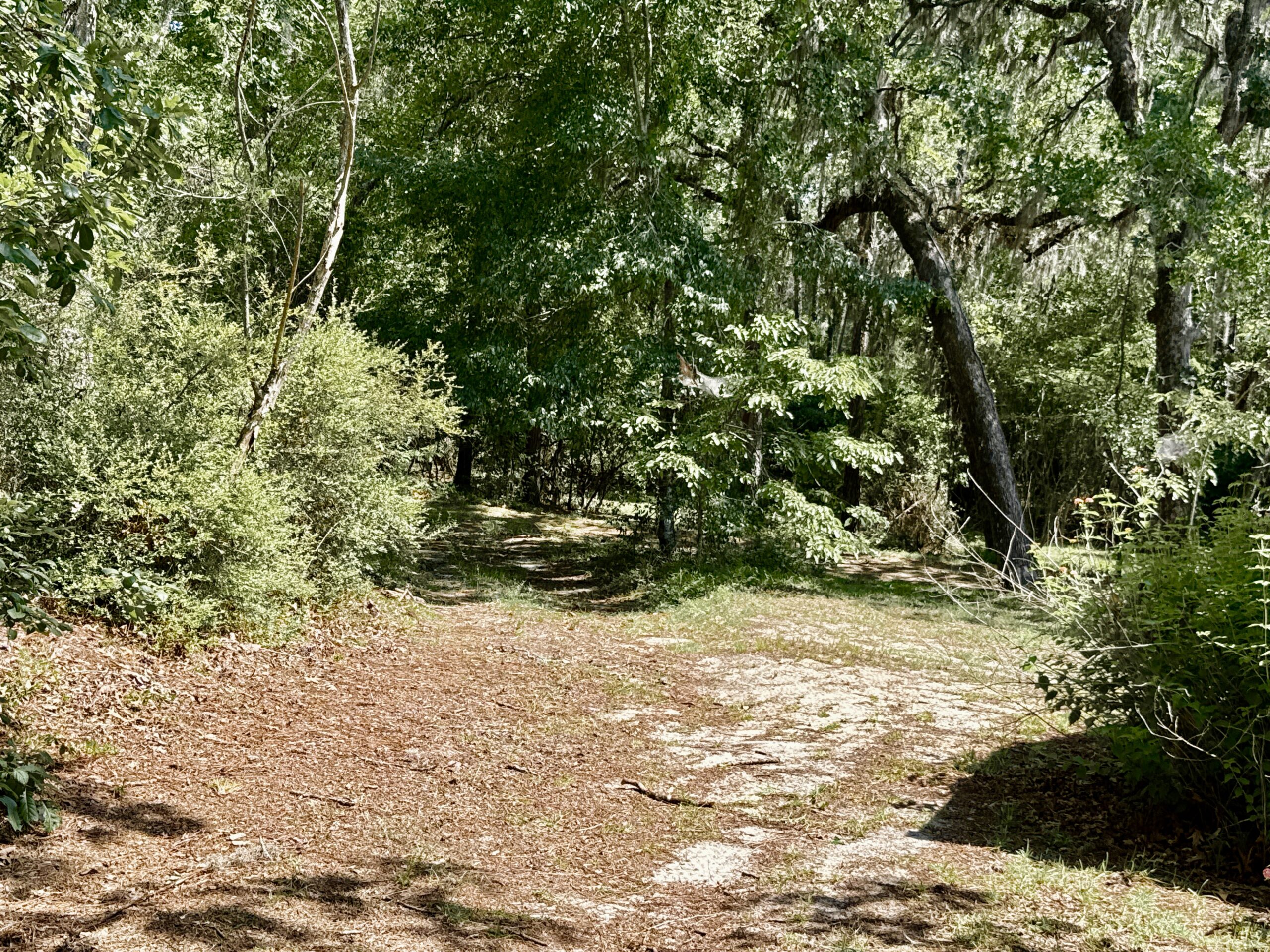 47.7 Acres with Custom Home & Abundant Wildlife