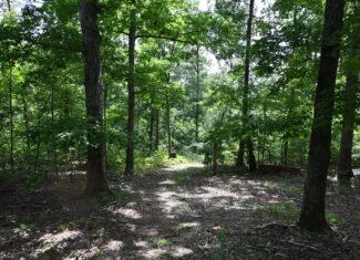 53± Acres for Sale in Decaturville, Tennessee
