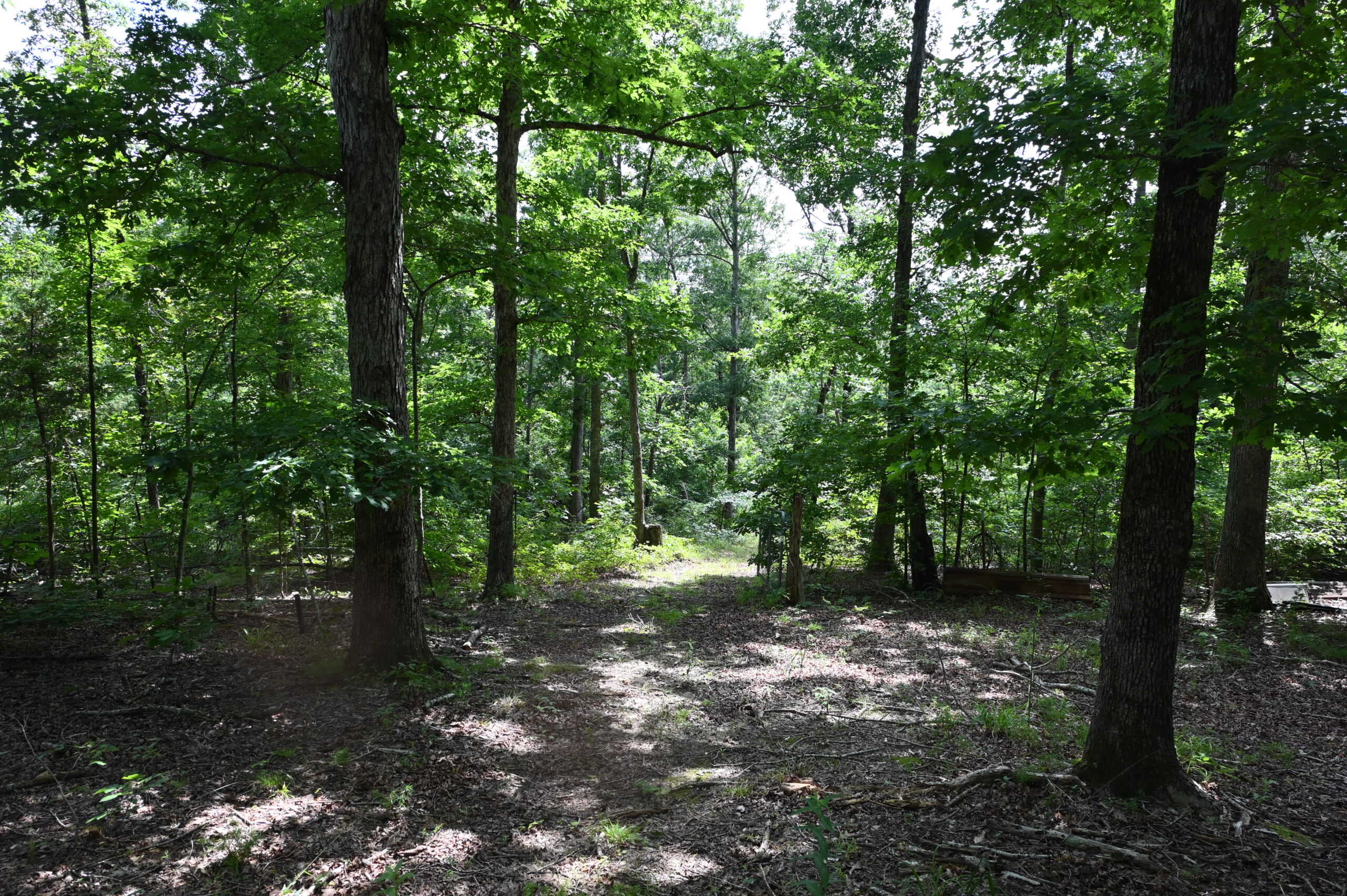 53± Acres for Sale in Decaturville, Tennessee