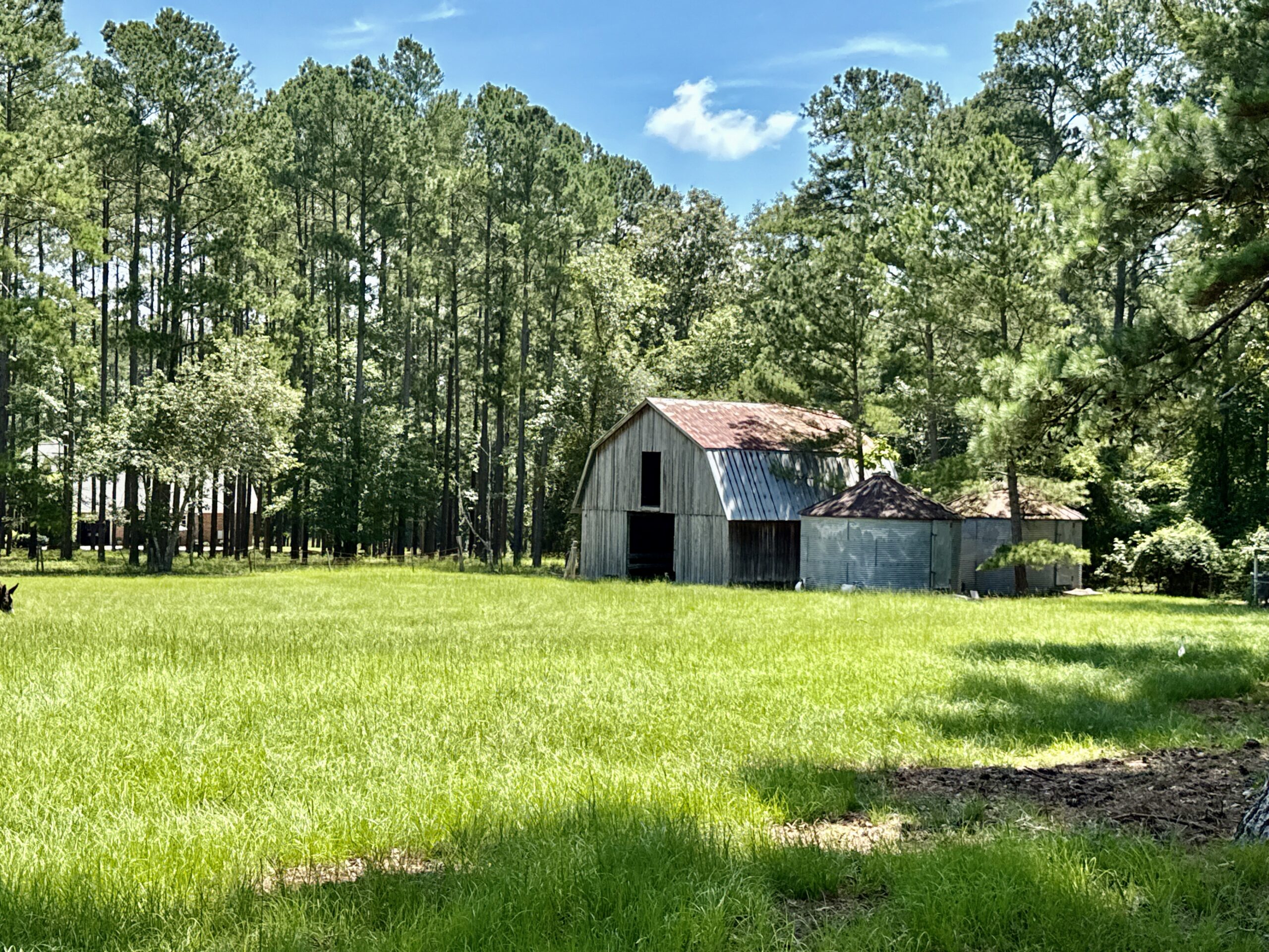 47.7 Acres with Custom Home & Abundant Wildlife