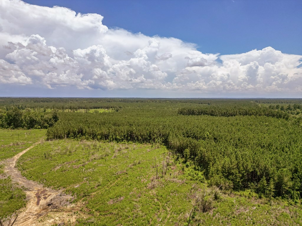 Land for Sale in Amite County, MS