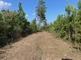 Small Hunting Tract FOR SALE in Amite County, MS