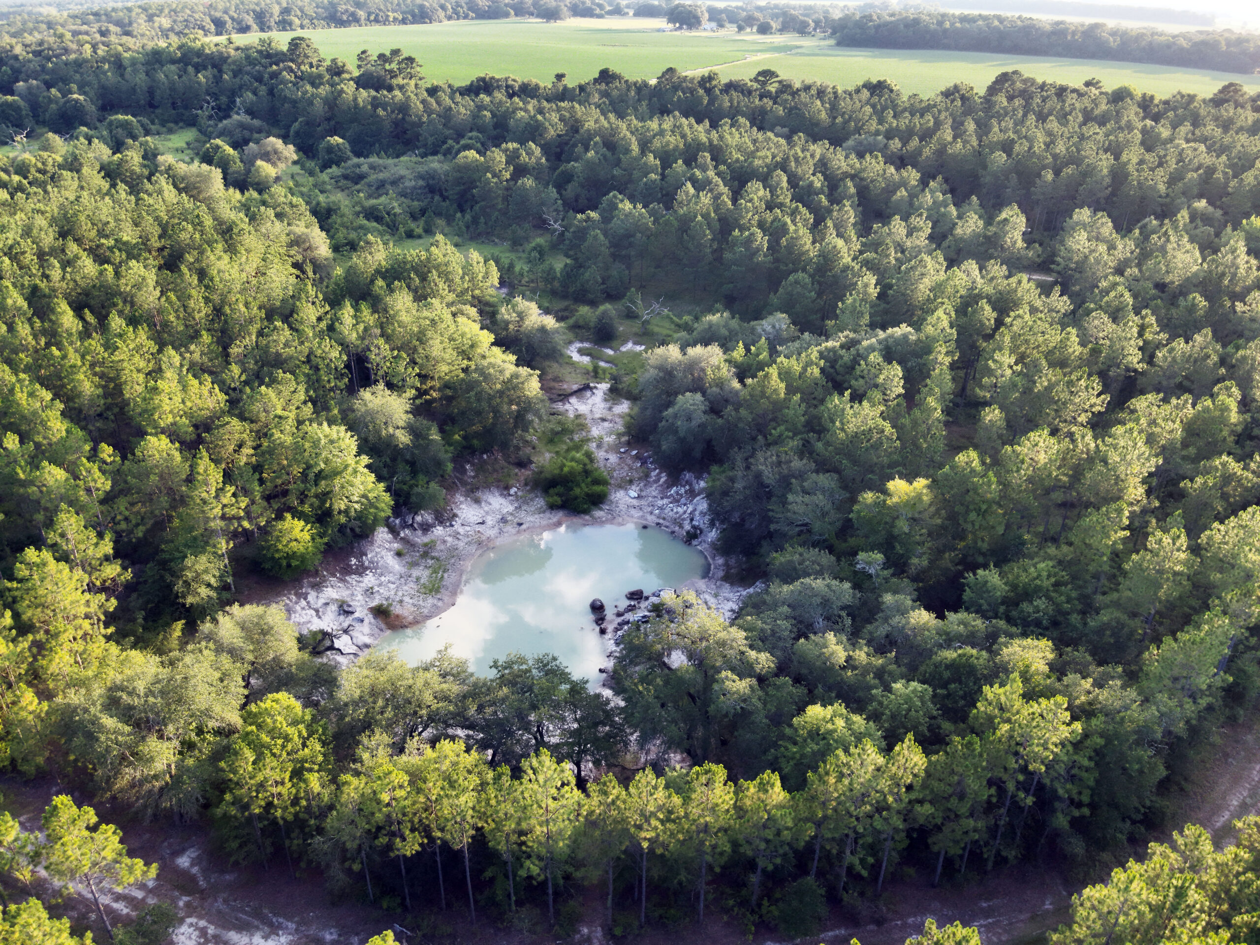 Recreational and hunting paradise located just outside Vada, GA in Decatur County