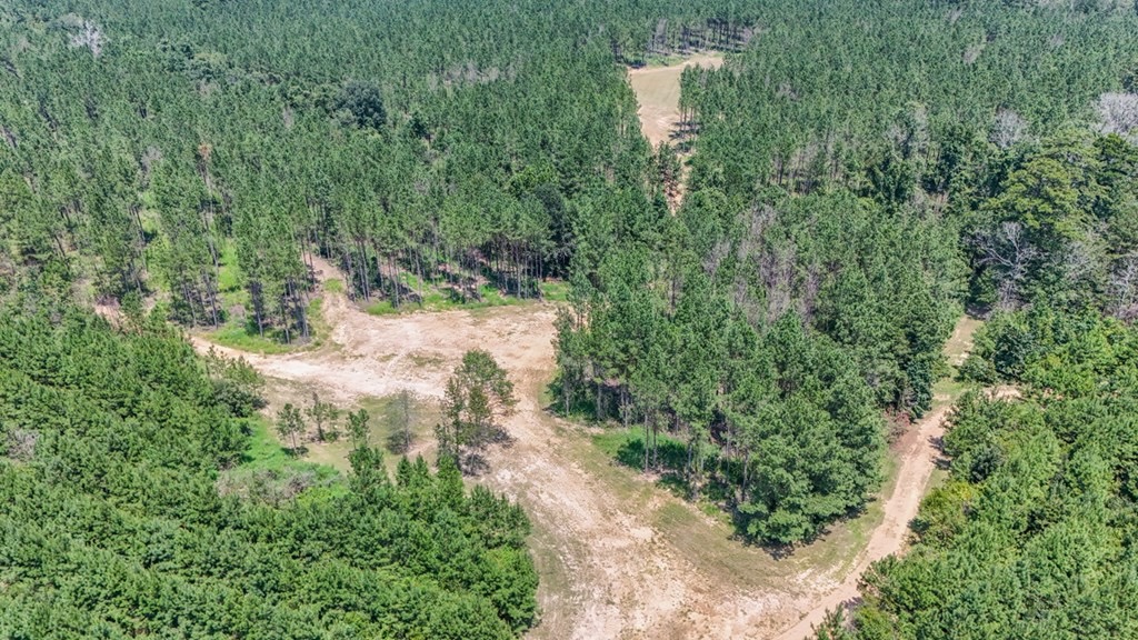 Amite County Hunting Land – The Winding 41