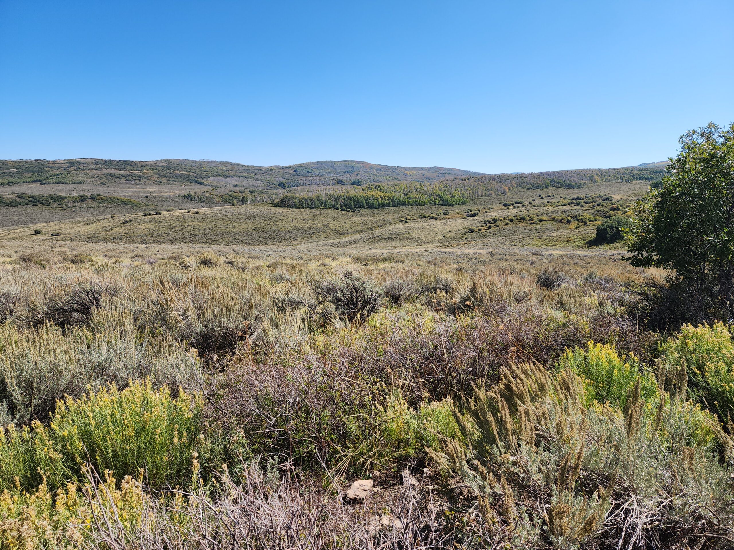 Colorado Hunting and Recreation Land