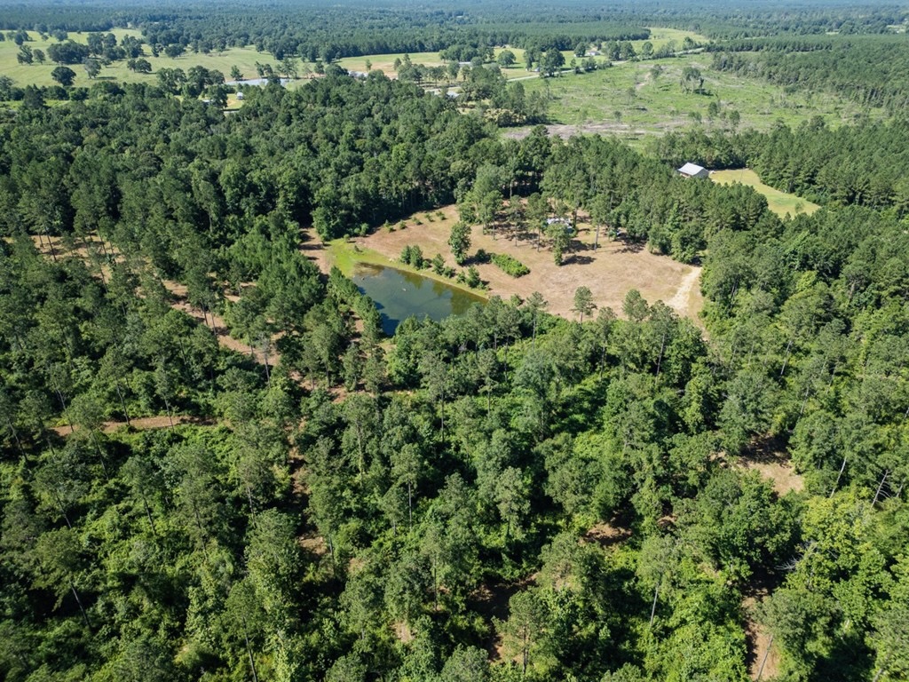 Osyka MS Hunting Land with Pond – Pike 38