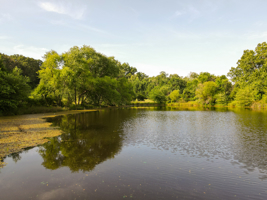 142+\- acres  For Sale El Dorado Springs MO