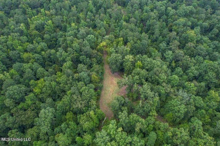 95 Acres of Prime Hunting Property in Hinds County
