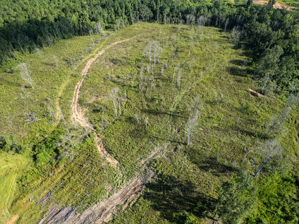 Gloster MS Hunting & Investment Land for Sale – 84 Acres