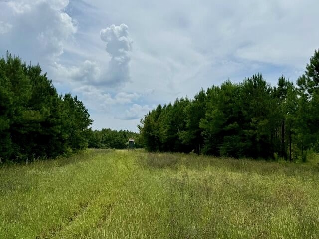 67 Acres For Sale Lawrence County MS