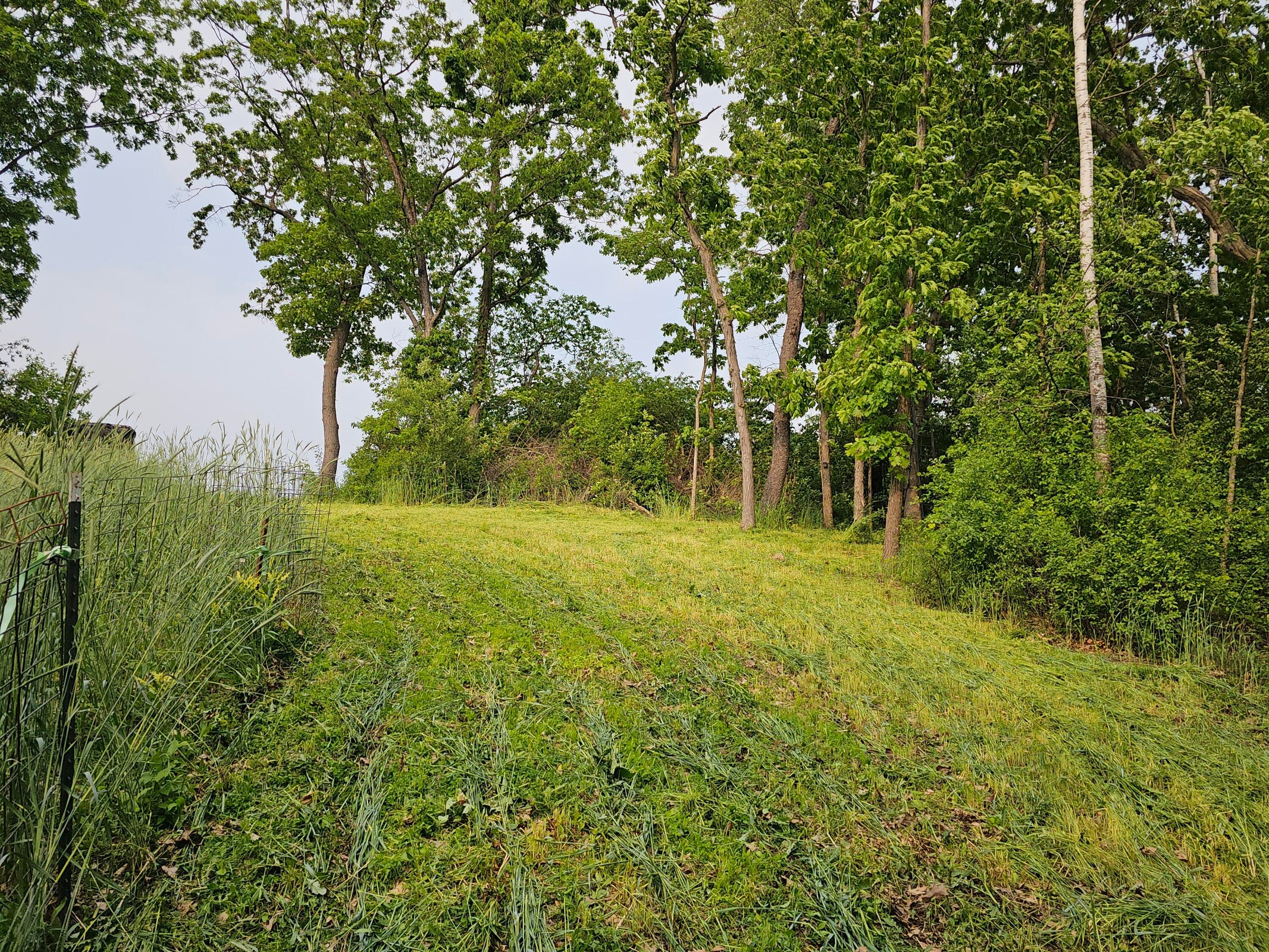 Twenty-One-Acre Hidden Gem in Vernon County WI