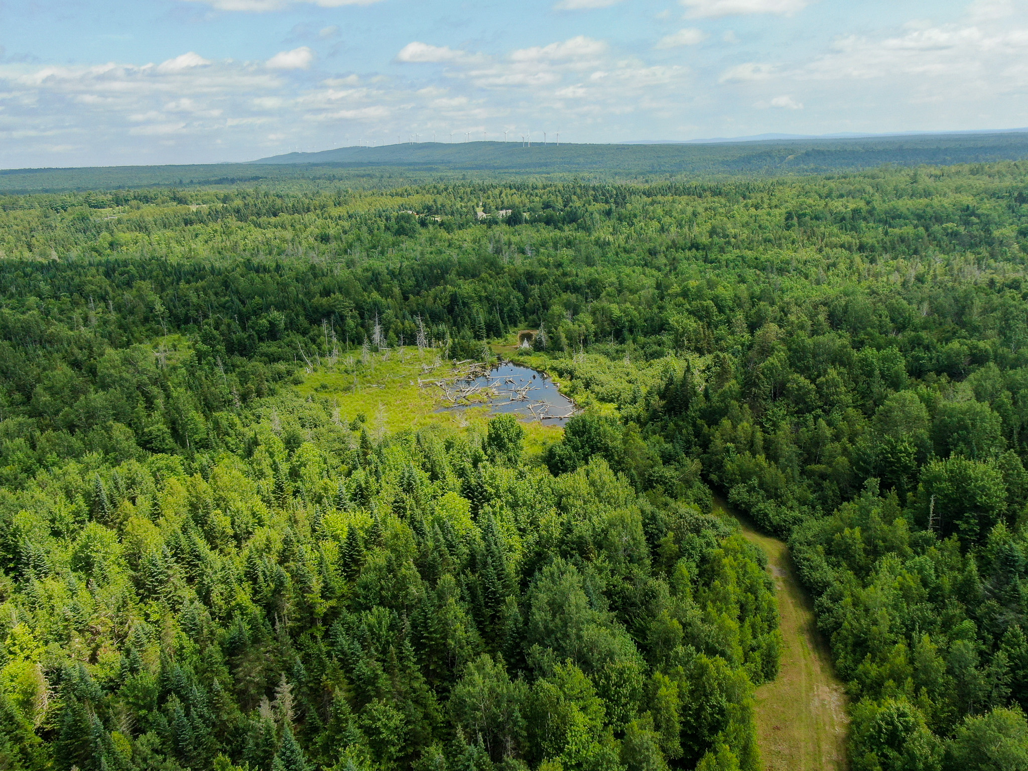 Maine Hunting and Recreational Timberland for Sale | 152± Acres in Carroll Plantation