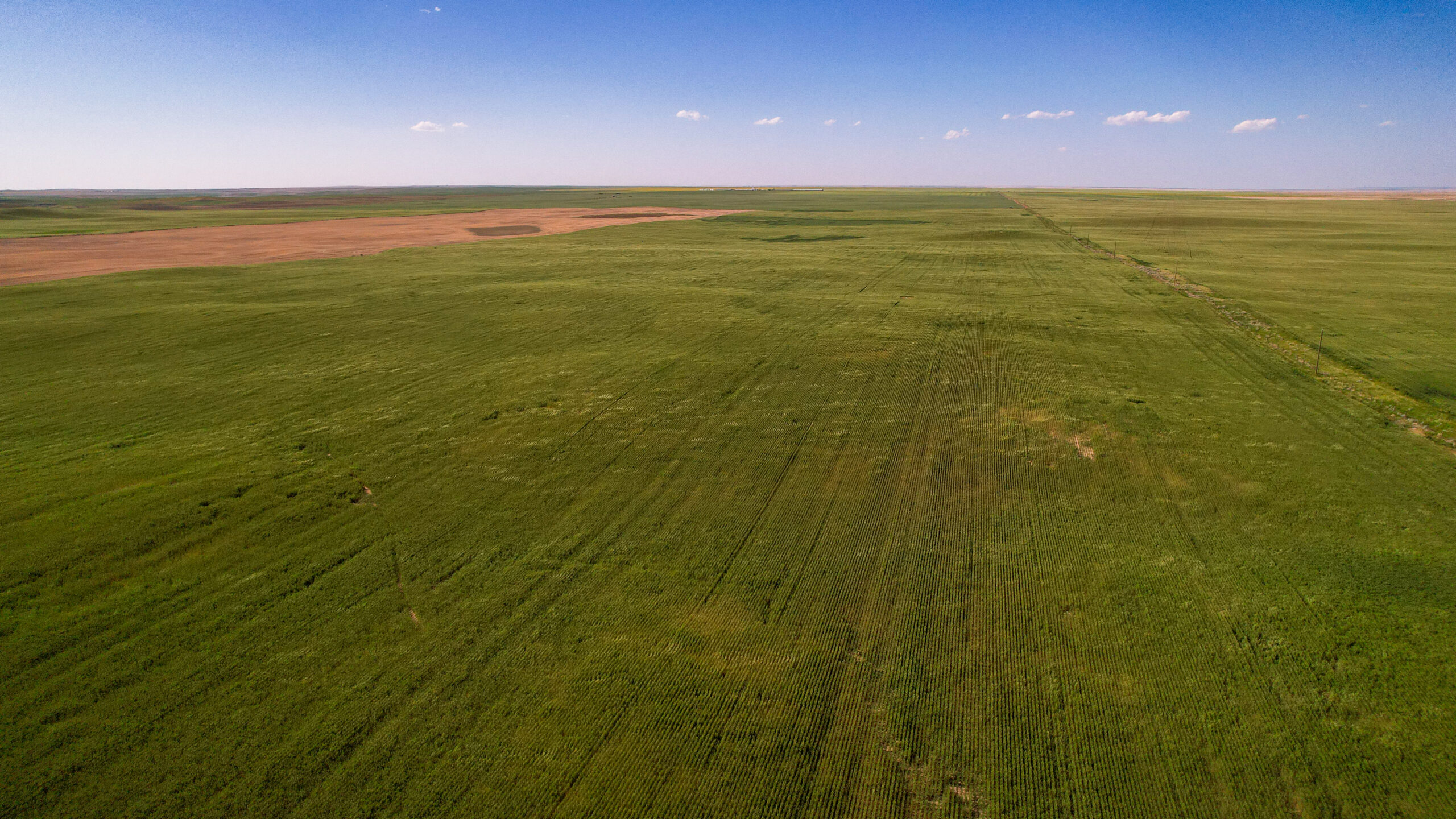 Golden Triangle Farm & Ranch in Hill County, Montana