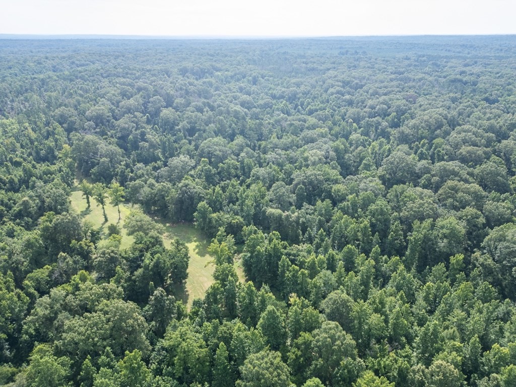Hunting Land in Claiborne County, MS – The Reagan Tract