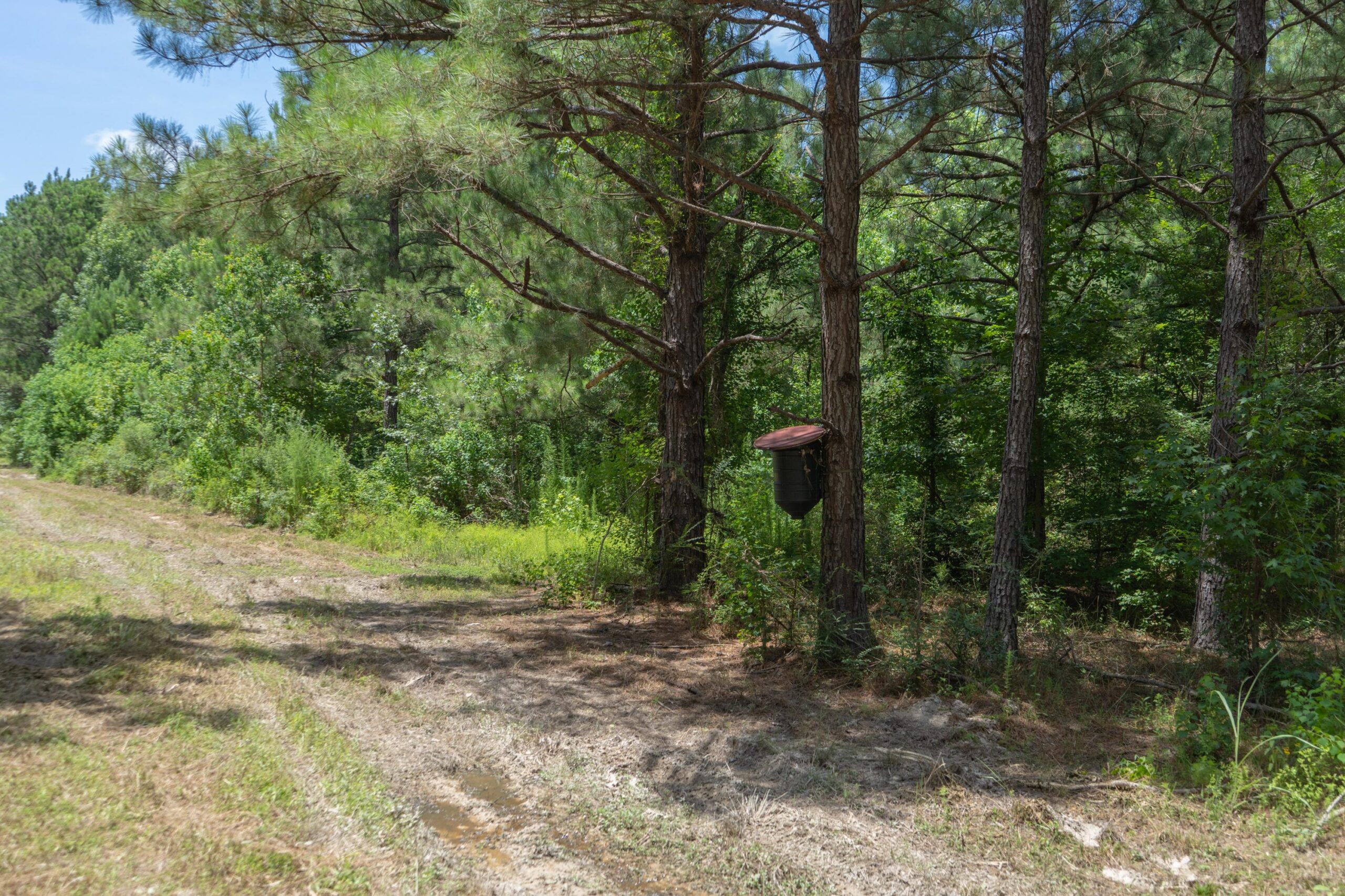 Lapine 216 Multi Use Recreational Timber – Ouachita Parish
