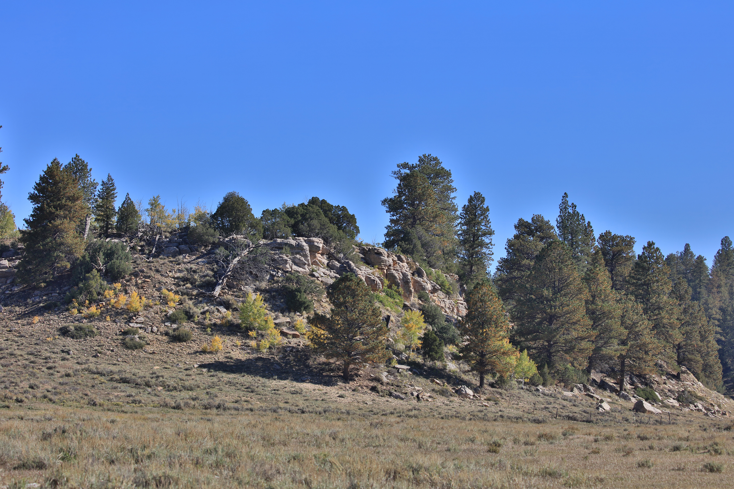 155 Acres of Hunting and Recreation Land in CO