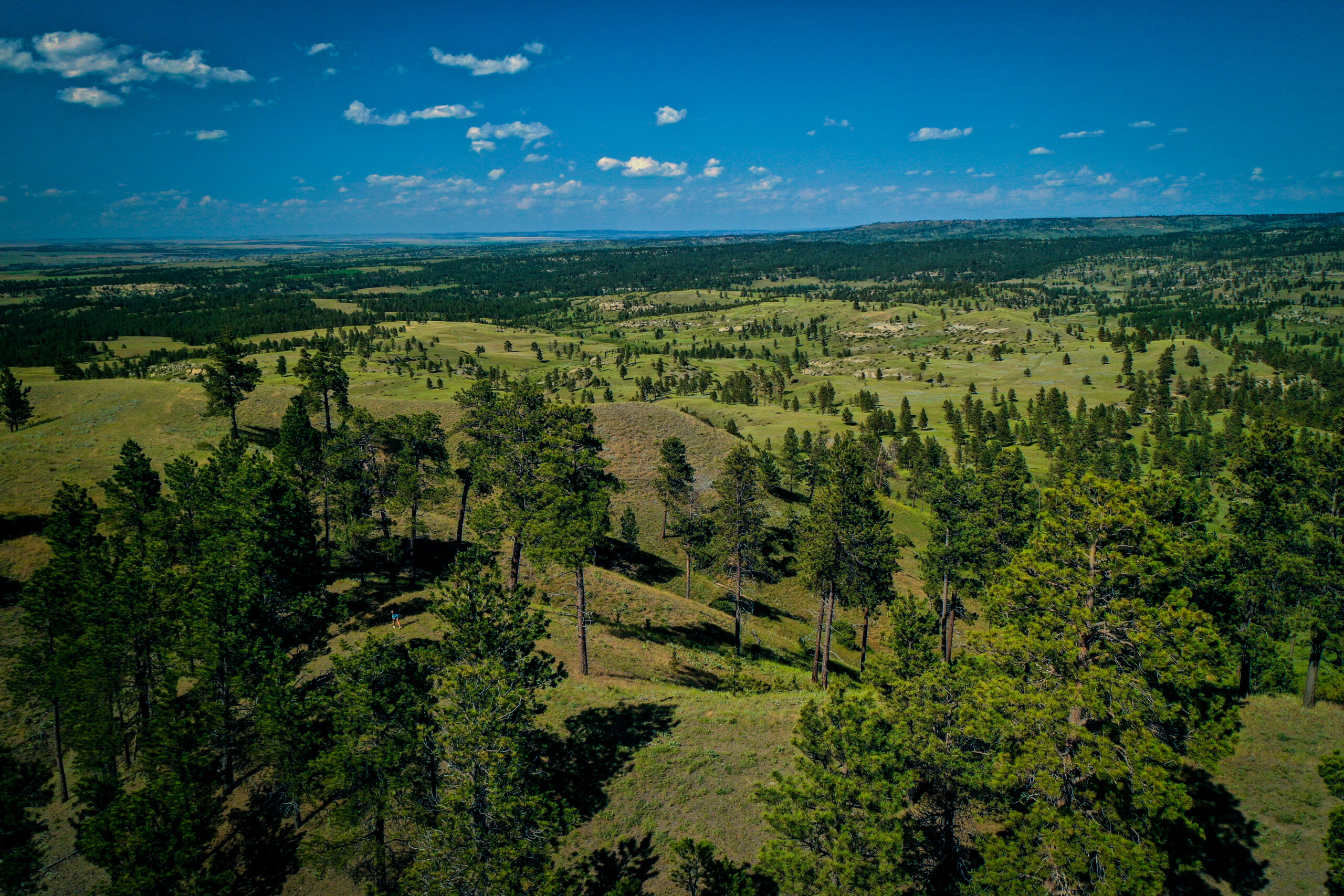 Pine Ridge Sanctuary-Premier Montana Hunting Land near Billings