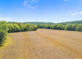 Whitetail and Waterfowl Hunting Property w/ Crop Income in Bowling Green, Kentucky