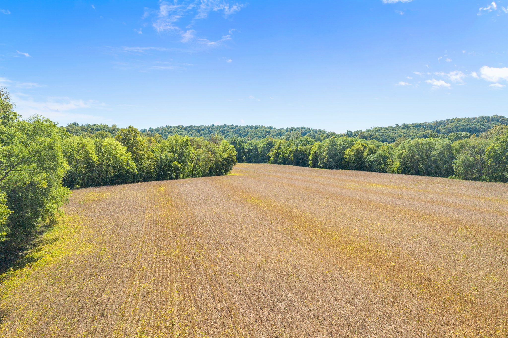 Whitetail and Waterfowl Hunting Property w/ Crop Income in Bowling Green, Kentucky