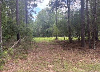 East Texas Land for Sale – ±8 Acres for Homesite or Hunting