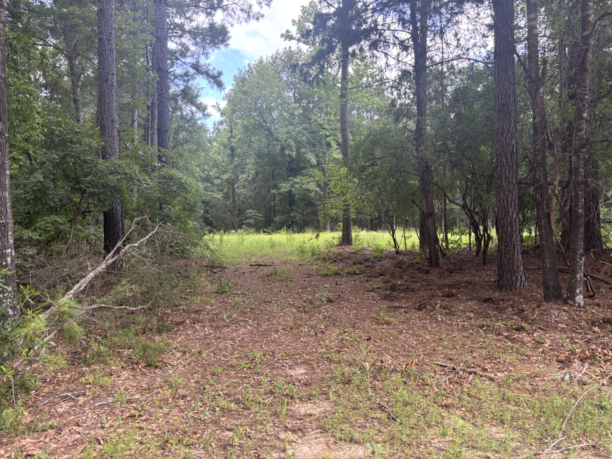 East Texas Land for Sale – ±8 Acres for Homesite or Hunting