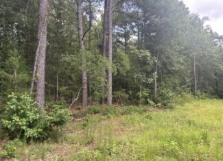 East Texas Land for Sale – ±8 Acres for Homesite or Hunting