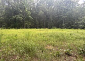 East Texas Land for Sale – ±8 Acres for Homesite or Hunting