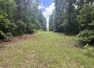 East Texas Land for Sale – ±8 Acres for Homesite or Hunting