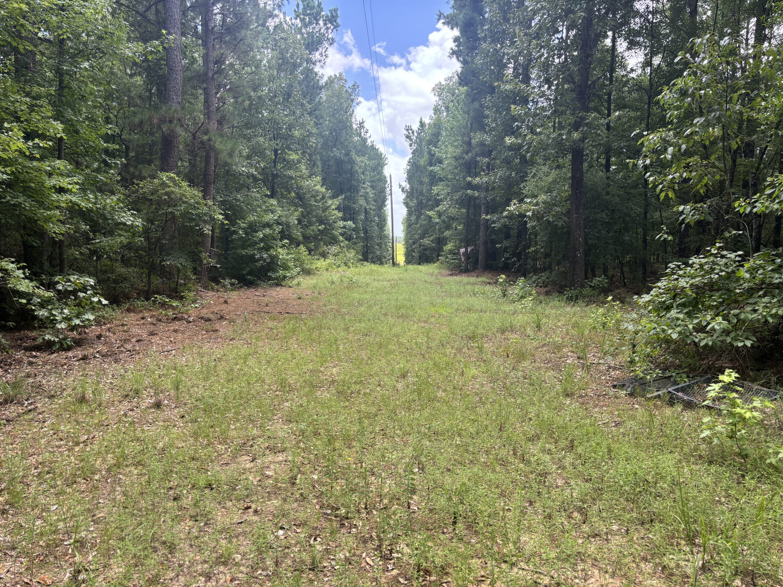 East Texas Land for Sale – ±8 Acres for Homesite or Hunting