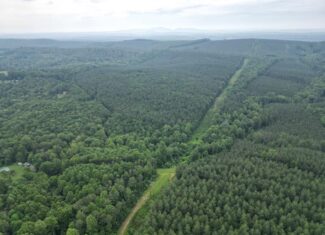 Nelson County Gem: 105 Acres with Development Rights & River Access