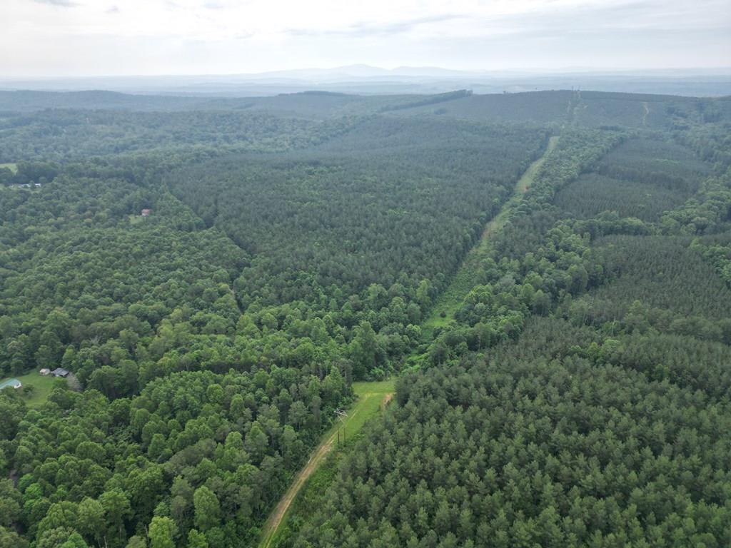 Nelson County Gem: 105 Acres with Development Rights & River Access