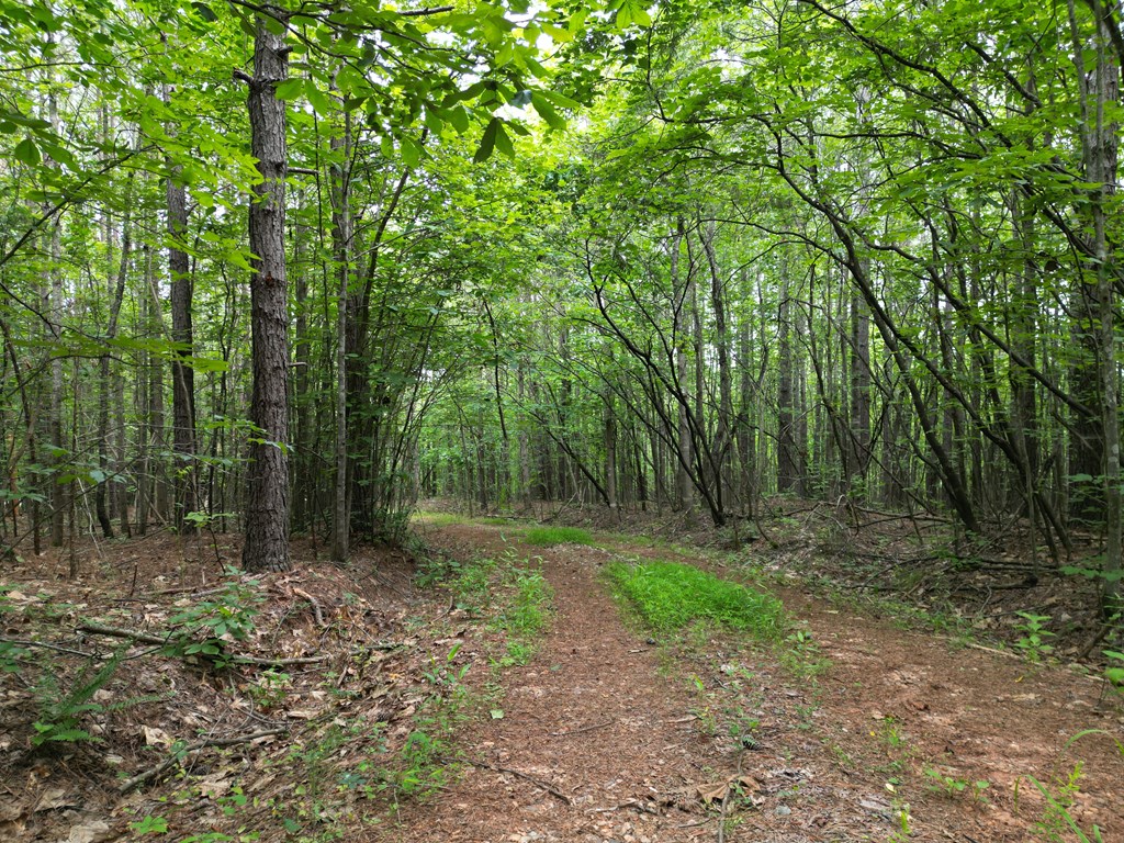 Nelson County Gem: 105 Acres with Development Rights & River Access