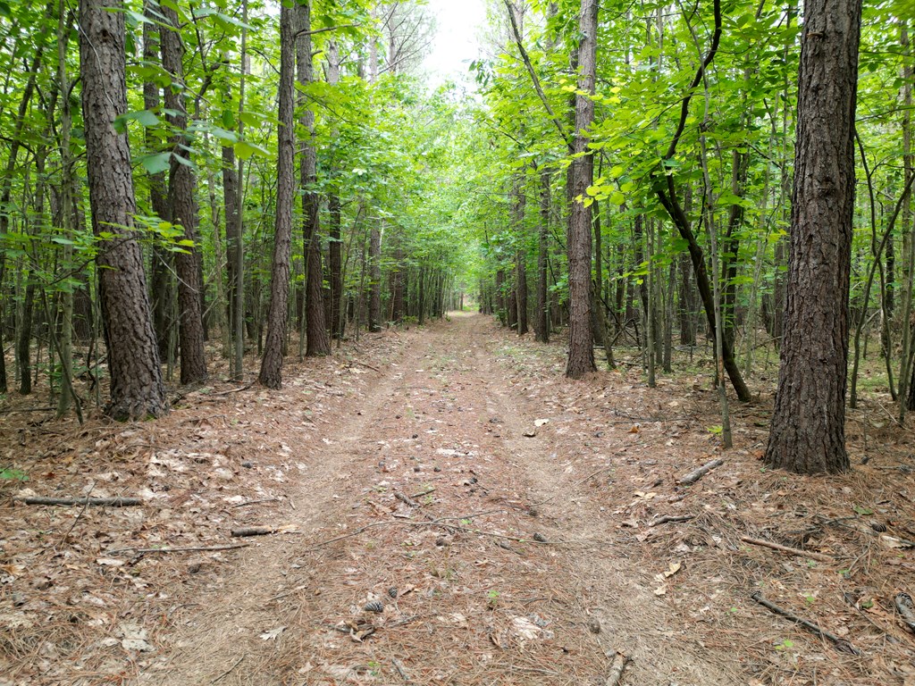 Nelson County Gem: 105 Acres with Development Rights & River Access