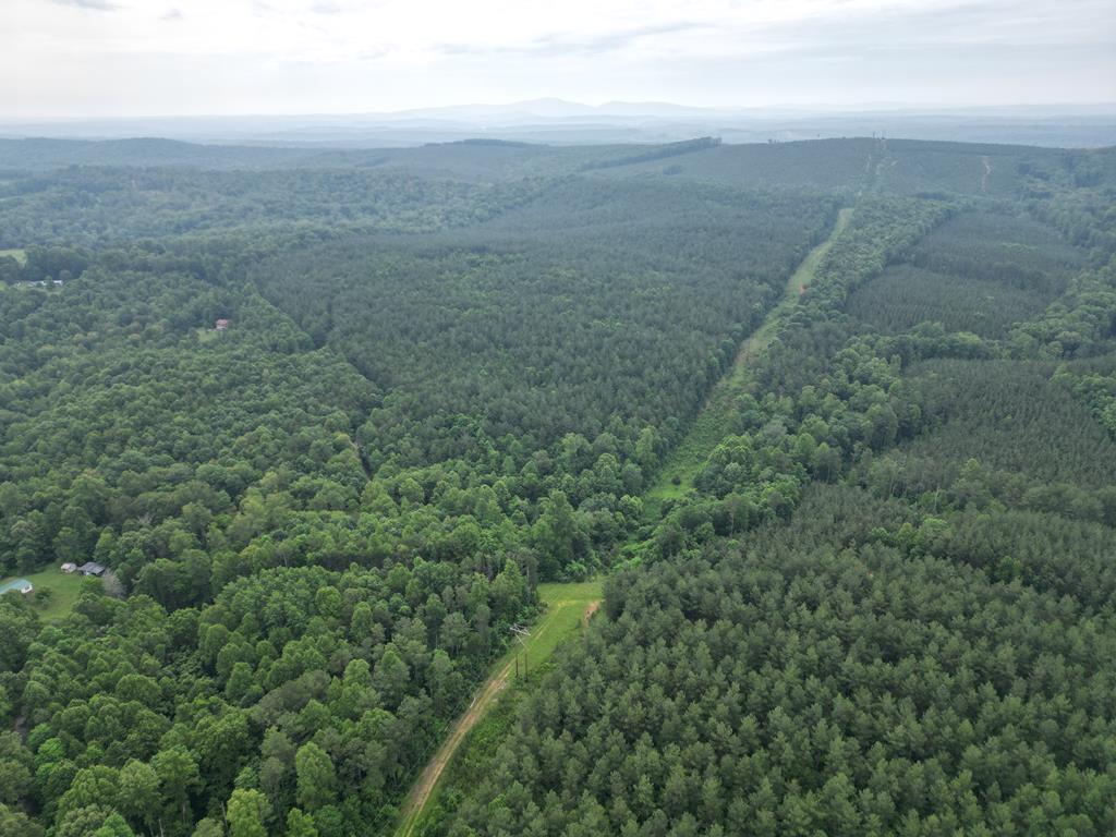 Nelson County Gem: 105 Acres with Development Rights & River Access