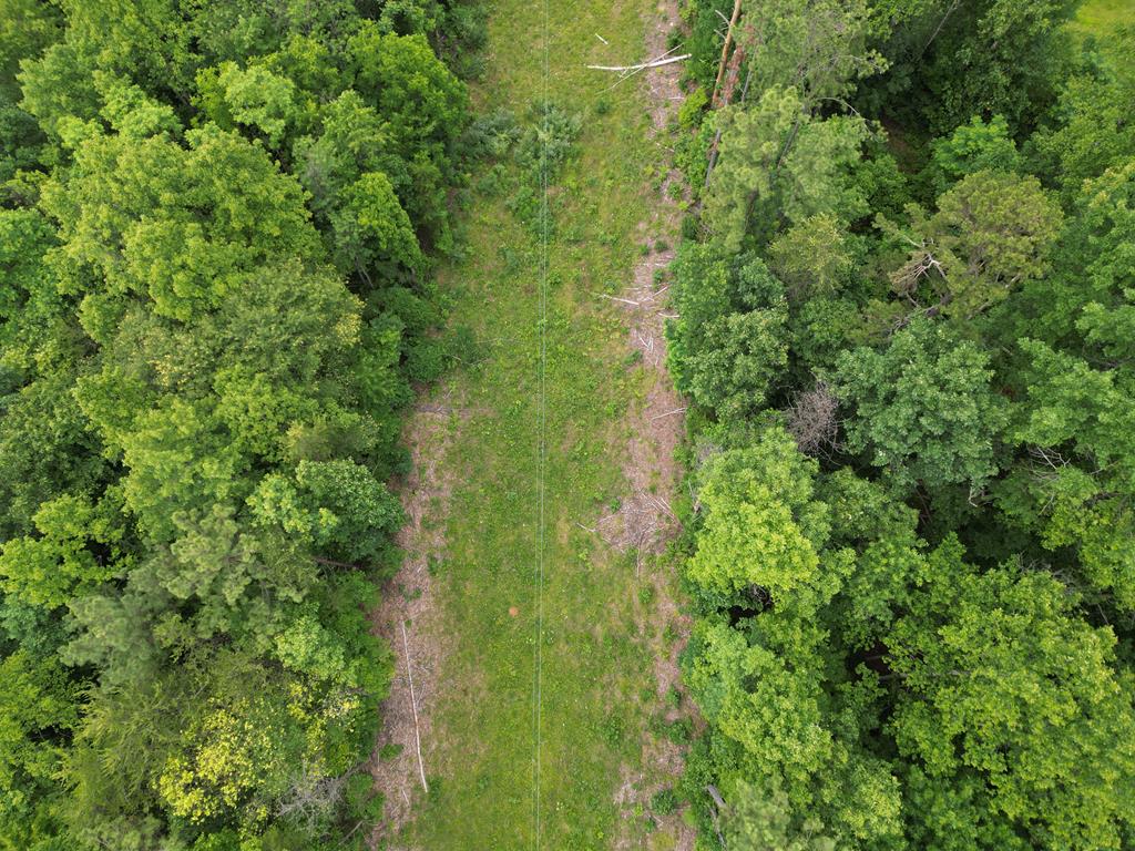 Nelson County Gem: 105 Acres with Development Rights & River Access
