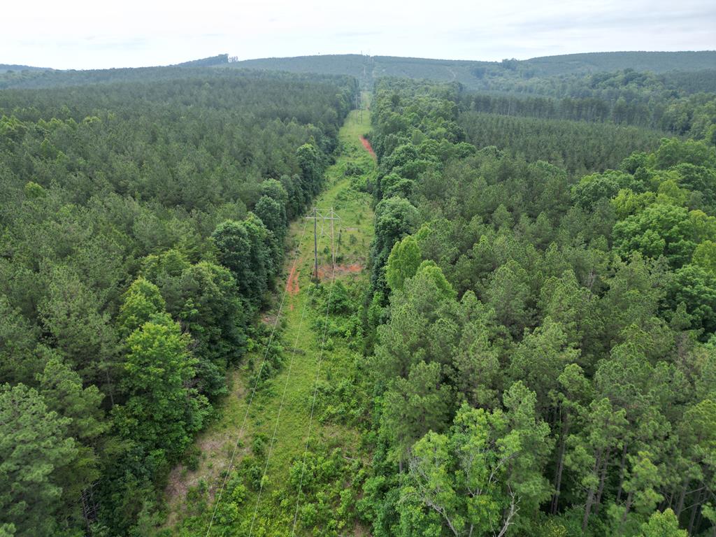 Nelson County Gem: 105 Acres with Development Rights & River Access