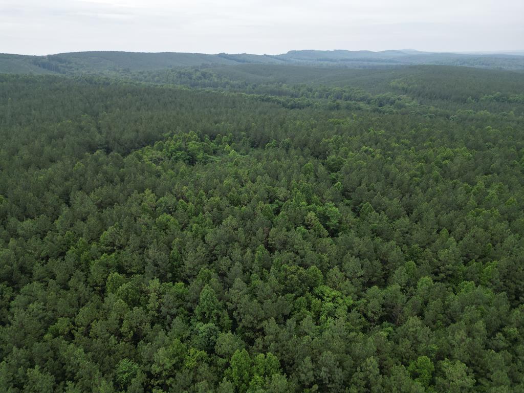 Nelson County Gem: 105 Acres with Development Rights & River Access