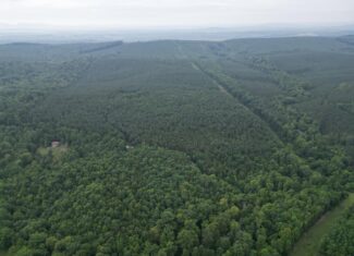 Nelson County Gem: 105 Acres with Development Rights & River Access