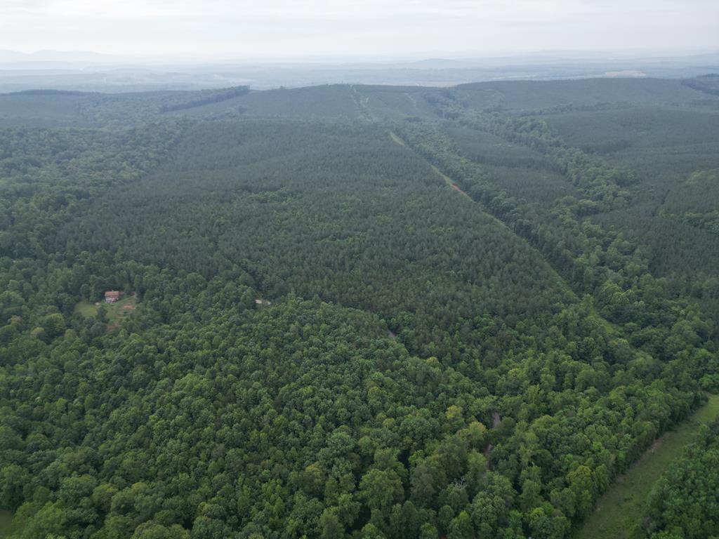 Nelson County Gem: 105 Acres with Development Rights & River Access