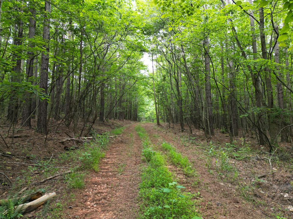 Nelson County Gem: 105 Acres with Development Rights & River Access