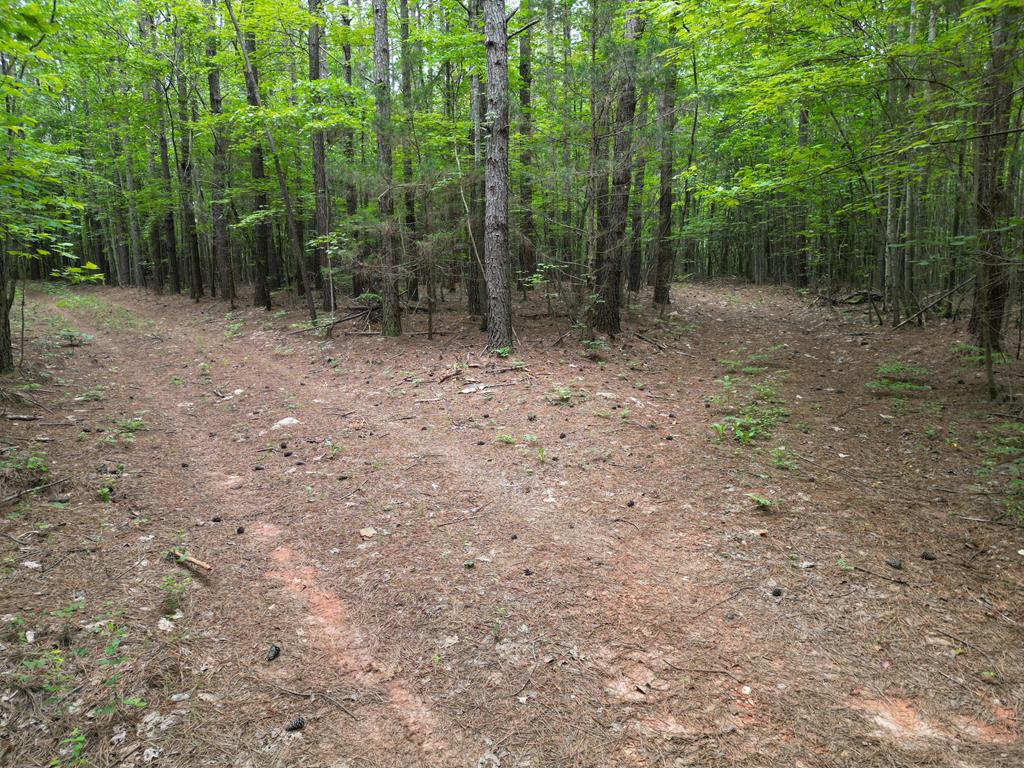 Nelson County Gem: 105 Acres with Development Rights & River Access