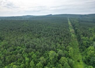 Nelson County Gem: 105 Acres with Development Rights & River Access