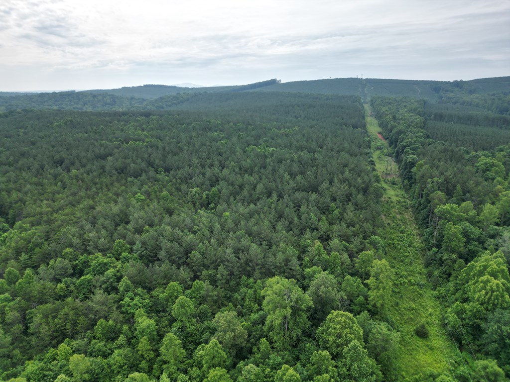 Nelson County Gem: 105 Acres with Development Rights & River Access